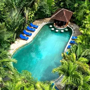 Curved resort swimming pool with swim-up bar and blue lounge chairs in tropical garden