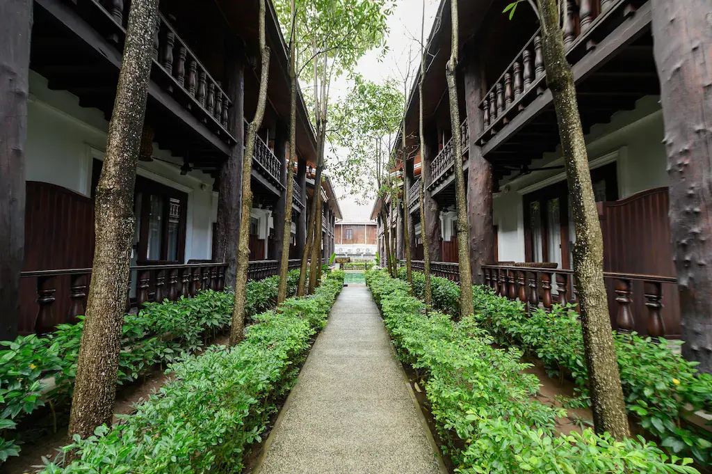 Walkway courtyard with trees and bushes between hotel buildings