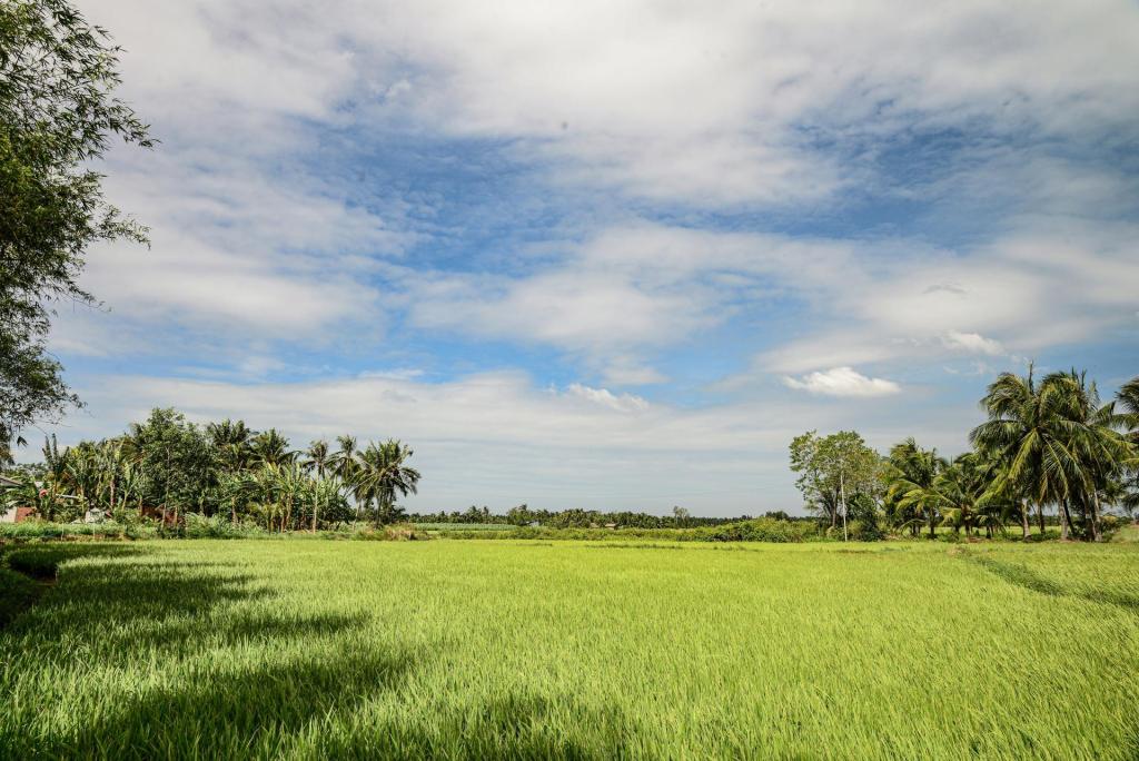 Ben Tre Countryside River Journey