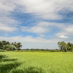 Ben Tre Countryside River Journey