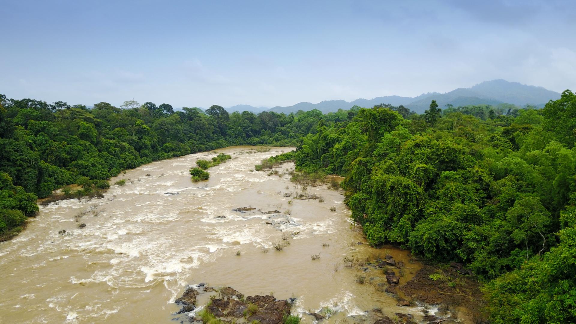 Brown river flowing through dense green rainforest with hills in background