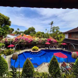 Hotel swimming pool with red umbrellas and tropical plants under blue sky