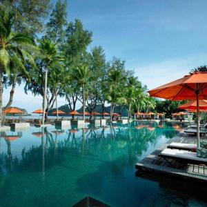 Resort swimming pool with palm trees and orange umbrellas over lounge chairs
