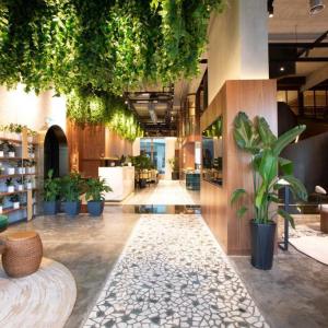 Bright modern hotel lobby with hanging plants and comfortable seating